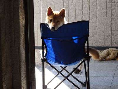 僕を呼びました👀