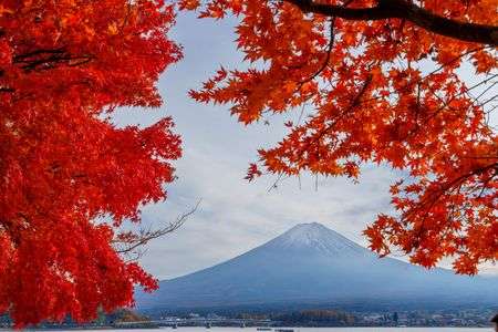 富士の秋 2025 #3