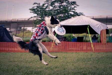 ナイスキャッチ