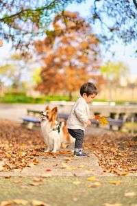 兄弟で落ち葉拾い