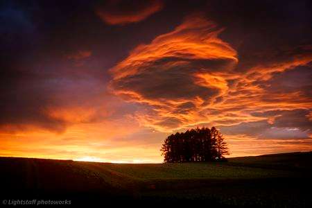 朝焼けの甘藍畑