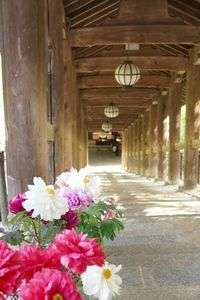 ボタンの長谷寺