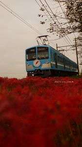 レッドカーペット2022