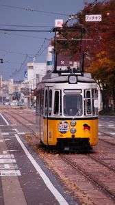 レトラムと落葉