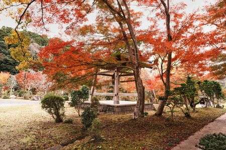 紅葉　妙泉寺シリーズ ５完