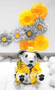 夏生まれのぽっちゃん