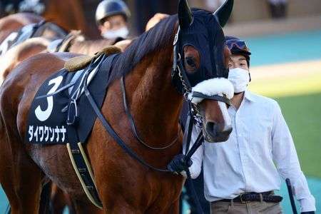 ダイワクンナナ