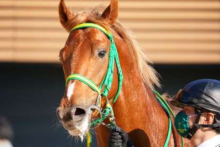 エコロブレーヴくん