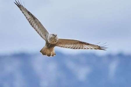 2023/1 ケアシノスリ③