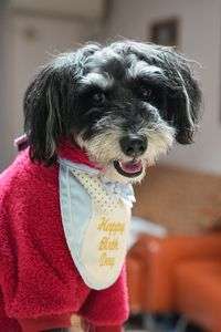 誕生日おめでとう