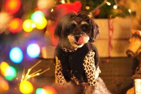 クリスマスモード