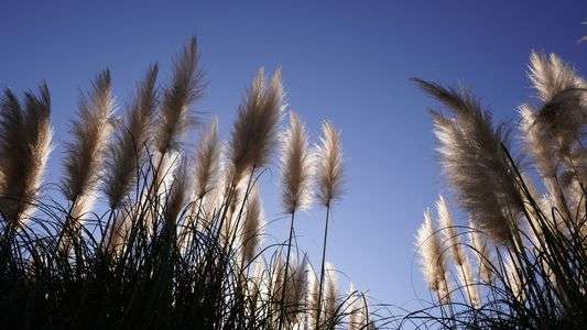 天高く秋風に載って