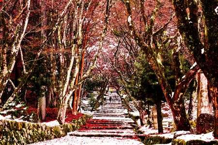 2025　雪の鶏足寺