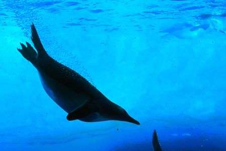 気持ちいいよー