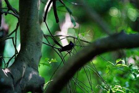 一年越しの再会