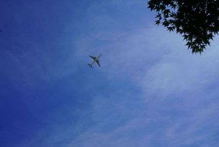 飛行機と空