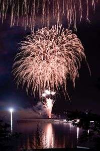 今年も静かな花火を見ることができた。