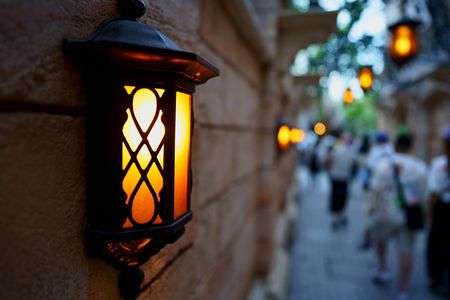 美女と野獣“魔法のものがたり”