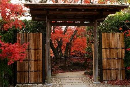 街ぶらSnap　晩秋の相楽園