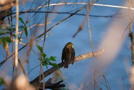 何かご用ですか