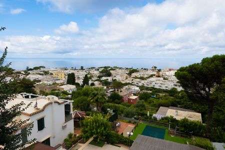 チェアリフトから