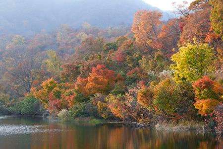 それぞれの装い