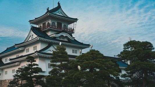 城を守りし白鷺たち