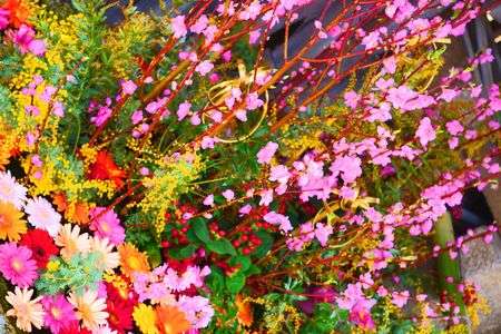 20220311北野天満宮