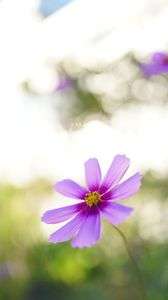 短い夏の終わり