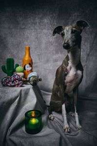 スティル・ライフ