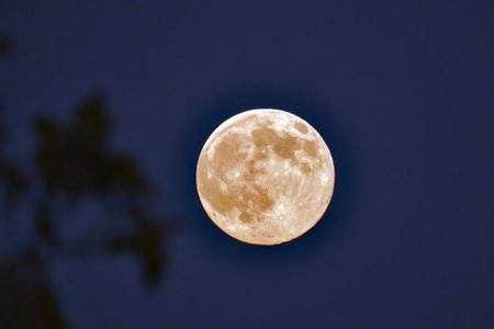 ビーバームーン