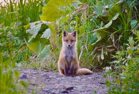ずっと待ってたんだよ