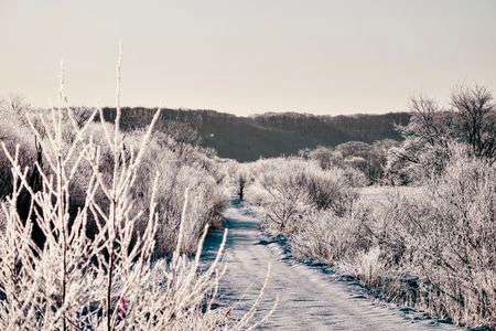 モノクロの『霧氷の世界』