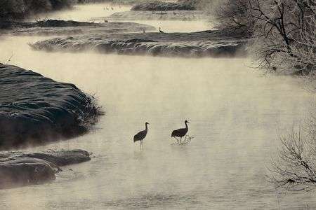 雪裡川の気嵐（けあらし）