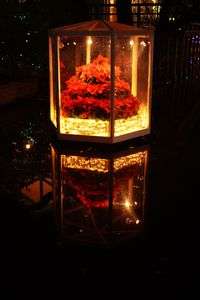 あしかがフラワーパーク