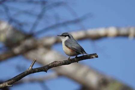 いつも逆さまってわけじゃないよ