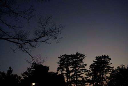 夕闇のシルエット