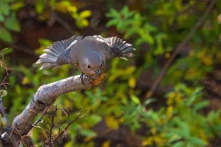 写真は道具に頼れ！！