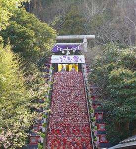 千葉県勝浦ひな祭り