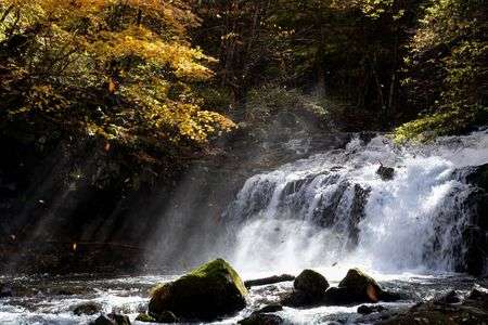 秋の大滝
