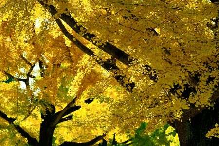 光に寄り添う季節