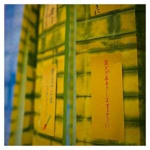 届けこの願い！