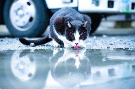雨の日もお仕事？