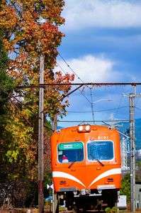 気の早いサンタ