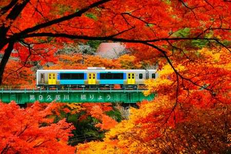 第9久慈川橋りょうを渡る水郡線