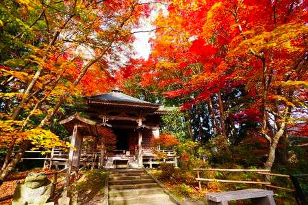 中尊寺　紅葉