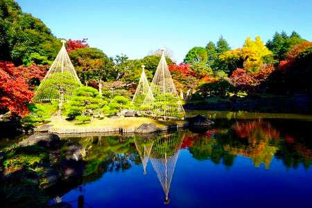 旧古河庭園　紅葉