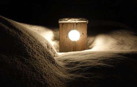 厳冬期の自然林３