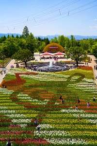 2023砺波チューリップフェア