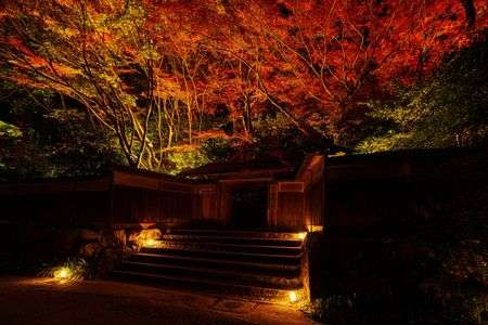 『秋 美』－夜の瑠璃光院山門－